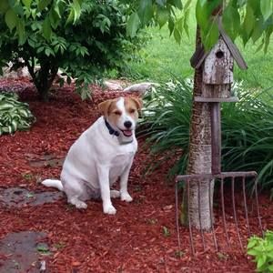 Meet your Posher, Jeff